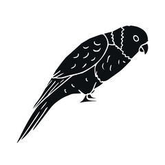 Vector hand drawn doodle sketch black lory parrot isolated on white background