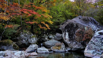 Beautiful autumn scenery of Jirisan Mountain, South Korea