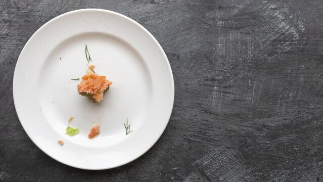 Stop Motion Animation of Eating Toast with Salmon and Vegetables