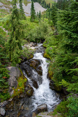 Fototapeta na wymiar Scenic river in Mount Rainier National Park