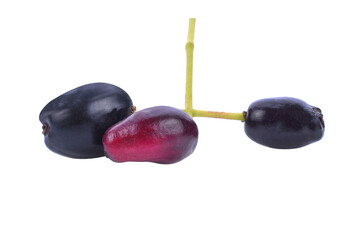 Jambolan plum or Java plum isolated transparent png