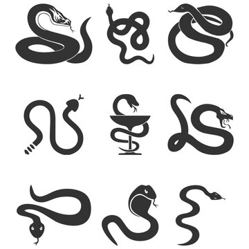 vector hand drawn snake outline illustration