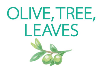 Obraz premium オリーブの水彩風イラストと、デザインテンプレート。ベクター素材。