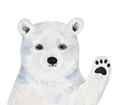Watercolour illustration of cute little polar bear cub with waving hand saying hello. Hand painted water color sketchy drawing on white background, cut out clipart element for design decoration.