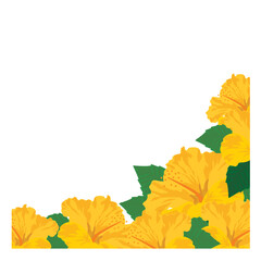 黄色のハイビスカスのフレーム