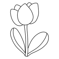 flower, Hand-drawn illustration, Spring season