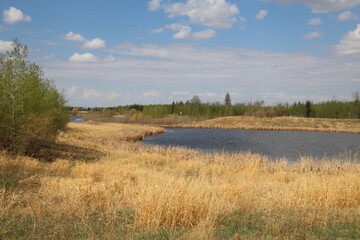 lake in the woods