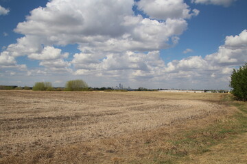 Obraz premium field and sky