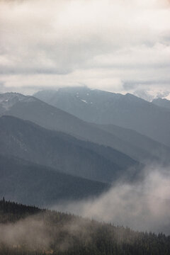 Wavey ridge lines of varying mountain ranges are contrasted by the one in front creating depth and texture in Olympic National Park at Hurricane Ridge.