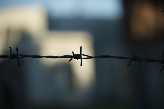 Silhouette of coils of old rusty barbed wire