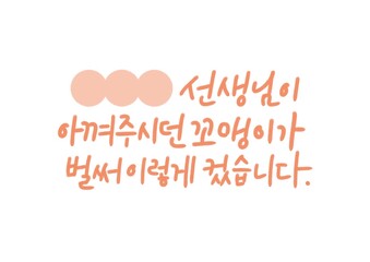 가정의달 캘리그라피
