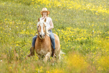 Portrait of a female equestrian riding her haflinger horse in spring outdoors in front of a rural...