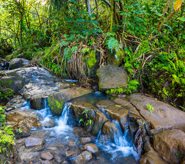Naklejka na ściany i meble Small Stream Flowing Over The Kalalau Trail, Kauai, Hawaii, USA