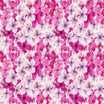 Seamless floral pattern with lilac flowers.  illustration.
