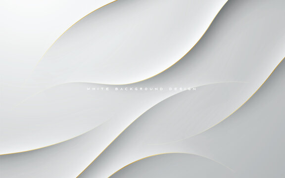 Modern abstract wavy light silver background vector with golden line.