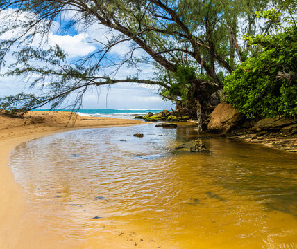 Moloa'a Stream Near Moloa'a Beach, Kauai, Hawaii, USA