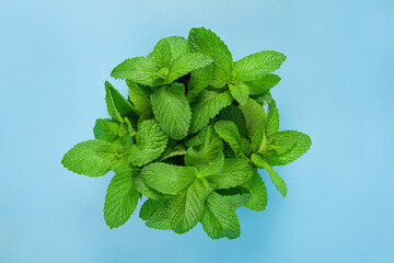 Fresh mint leaf isolated on white background.top view. © zhikun sun
