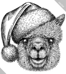 Vintage engraving isolated lama set dressed christmas illustration ink santa costume sketch. Alpaca background America animal silhouette new year hat art. Black and white hand drawn vector image.