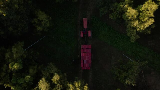 TOP DOWN VIEW OF A TRACOR DRIVING AT AN AVOCADO FARM IN MICHOACAN MEXICO