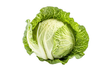 Cabbage isolated on white background, close up. Fresh cabbage PNG