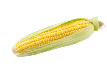 A bright and vibrant stock photo of fresh corn on a pristine white  isolated PNG