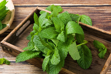fresh green mint leaf on the wooden table © zhikun sun