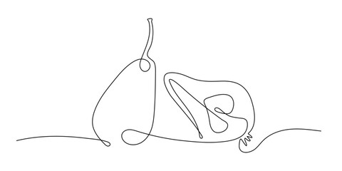 Continuous one line drawing pear and pear half. Farmer market Logo concept. Abstract hand drawn fruit by one line. Minimalist black line sketch on white. Fashionable natural food vector illustration