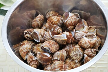 sweet clams