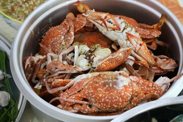 steamed blue crab