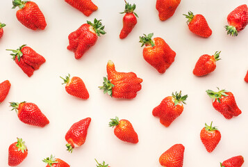 Plakat Fresh strawberries, different in shape and size, flat lay, light beige background, top view