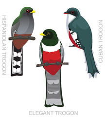 Cute Bird Elegant Trogon Set Cartoon Vector