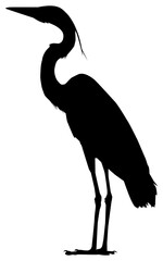 The black heron (Egretta Ardesiaca), also known as the Black Egret Silhouette for Art Illustration, Logo, Pictogram, Website, or Graphic Design Element. Format PNG