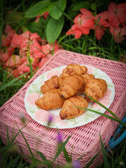 Summertime picnic setting on the grass with open picnic basket, fruit, croissants, books
