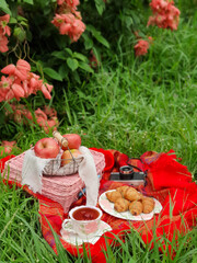Summertime picnic setting on the grass with open picnic basket, fruit, croissants, books