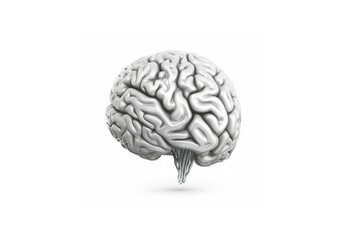 Human brain isolated on white background. generative ai