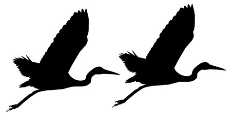 Pair of the black heron (Egretta Ardesiaca), also known as the Black Egret Silhouette for Art Illustration, Logo, Pictogram, Website, or Graphic Design Element. Format PNG
