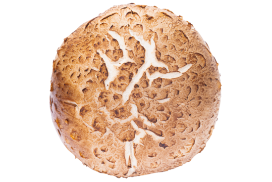 Cutout fresh shiitake mushrooms.