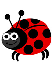 Ladybug -  Happy Ladybug PNG