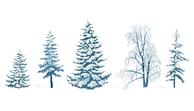 Realistic vector illustration of a spruce tree in the snow on a white background. Green fluffy pine isolated on a white background. Winter snow-covered trees. Elements for the Christmas scene.