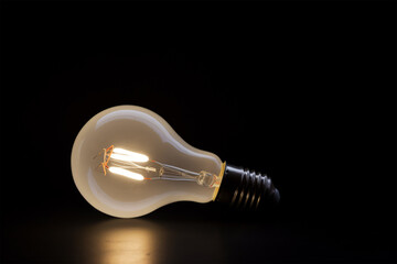 Light Bulb. International Day of Light Concept. generative ai