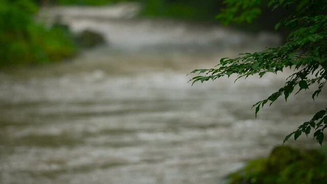 山の上流で茶色く濁った川 渓流 濁流 土石流 大雨 災害 自然破壊