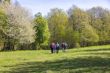 Fototapeta premium Group with hikers on a meadow a sunny spring day