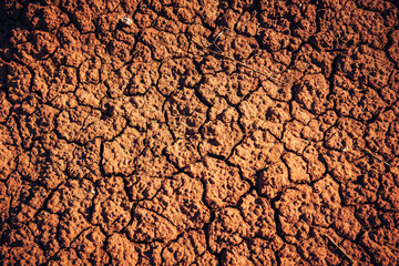 Naklejka premium Nature background of cracked dry earth. Texture of arid soil. Clay surface of wasteland close-up. Lifeless desert.