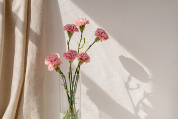 Carnation flowers bouquet in vase on neutral beige empty wall and linen curtain with aesthetic...