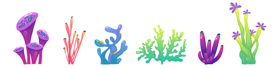 Coral reef underwater set with algae. Seaweed ocean plant. Coral set undersea fauna. Cartoon Reef isolated. Cartoon Vector design.