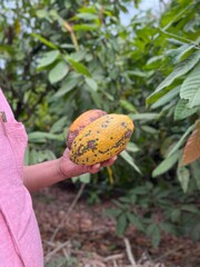 man holding a cacao