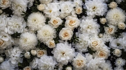  a bunch of white flowers that are on a wall together.  generative ai