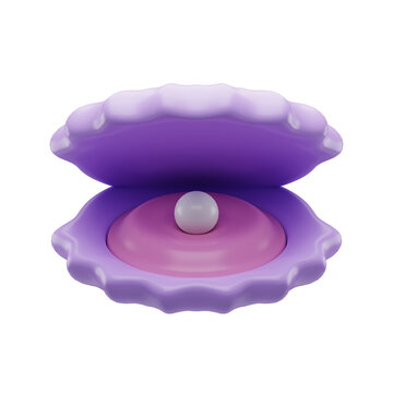 3d sea shell illustration