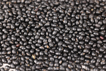 Chinese black rice, whole grain, close up indoors