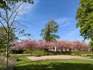 Wanderlust in street Ribe, Ribe is a town in Esbjerg municipality in Region Southern Denmark